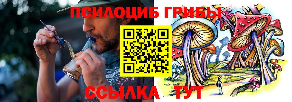 Псилоцибиновые грибы Psilocybine cubensis Уварово